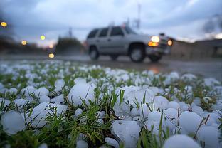 雷竞技同类的软件